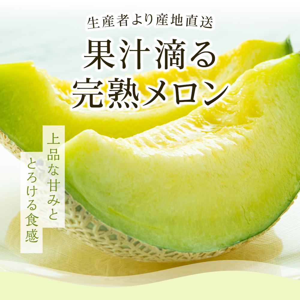 桐箱入りマスクメロン 1個 2個 1玉 2玉 フルーツ 果物 くだもの プレゼント 食品 贈答用 高級 ギフト 贈り物 高評価 人気 おすすめ 旬 産地直送 ふるさと納税メロン 西島園芸団地 高知県 南国市 NE017 NE018